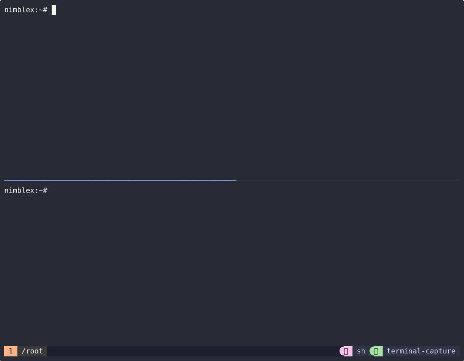 Nettest Demo